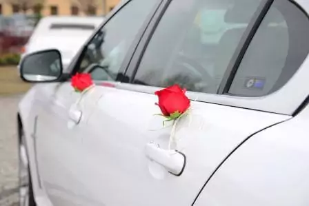 Прокат автомобилей в Новороссийске Прокат автомобилей в Новороссийске